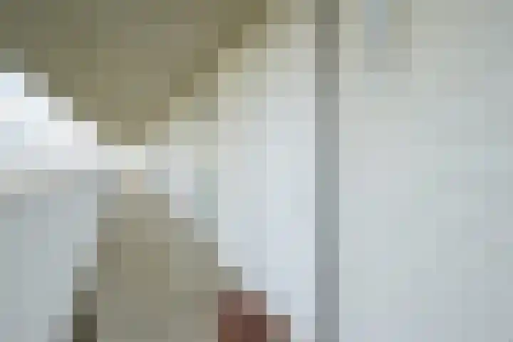 Vijfhagen 129 Breda thumbnail 20