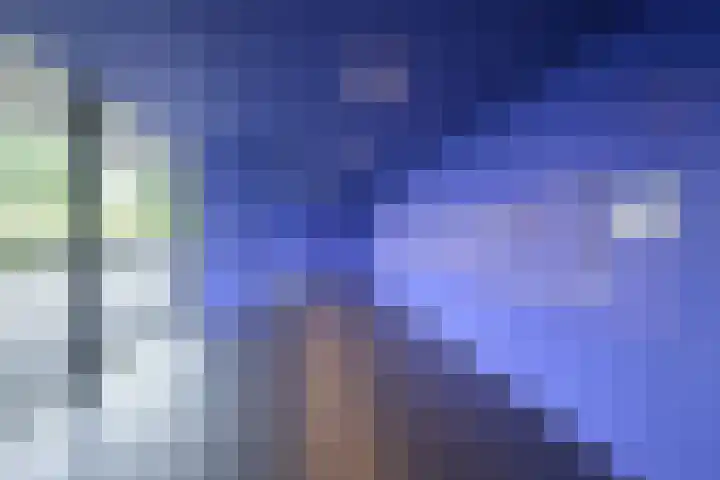 Vijfhagen 129 Breda thumbnail 22