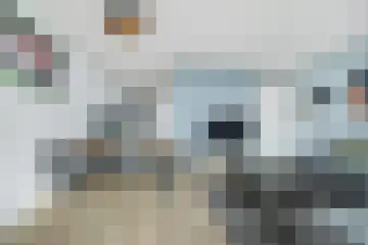 Vijfhagen 129 Breda thumbnail 5