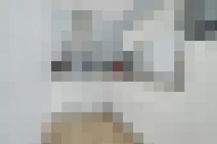 Vijfhagen 129 Breda thumbnail 7