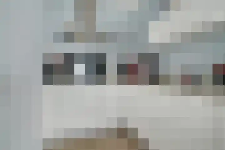 Vijfhagen 129 Breda thumbnail 8