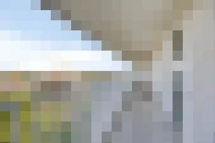Vijfhagen 131 Breda thumbnail 11