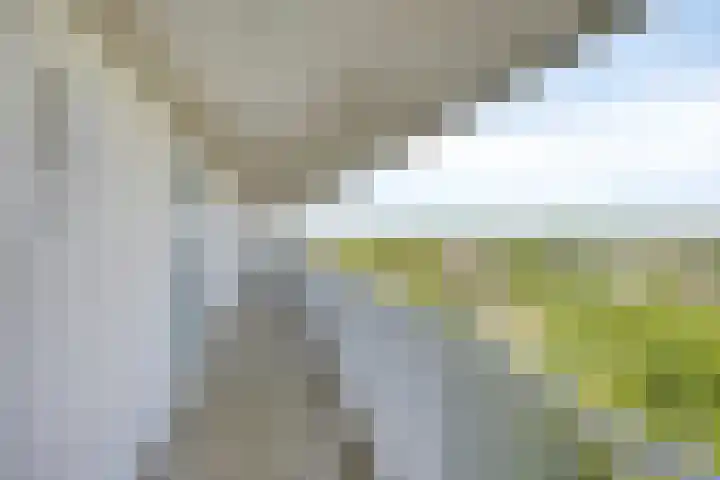 Vijfhagen 131 Breda thumbnail 12