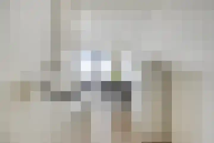 Vijfhagen 131 Breda thumbnail 21