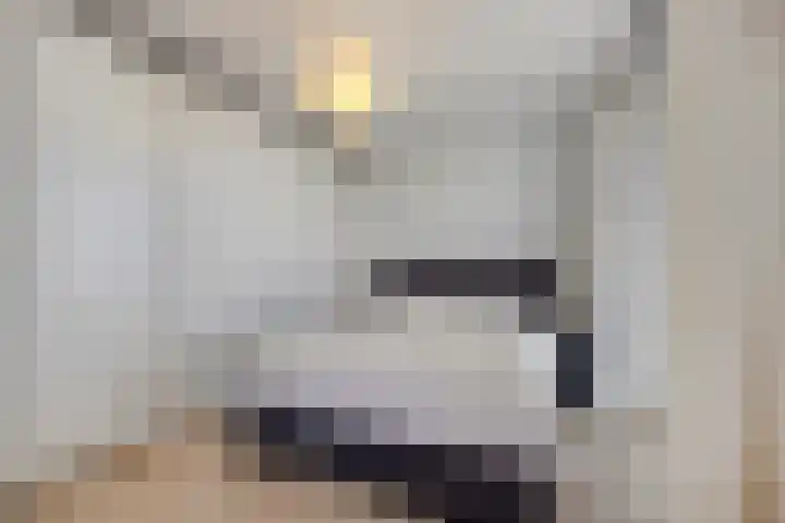 Vijfhagen 131 Breda thumbnail 26