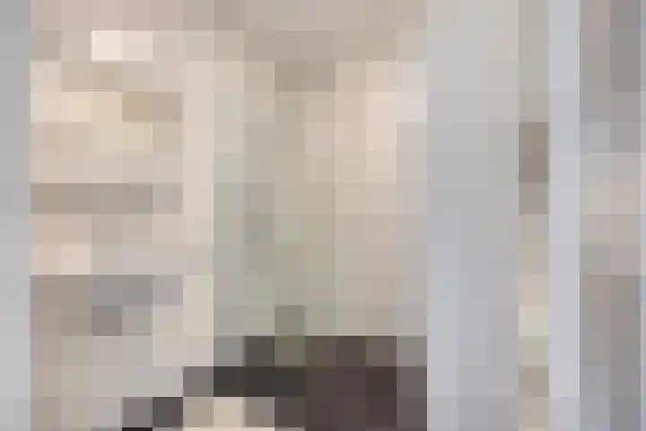 Vijfhagen 131 Breda thumbnail 28