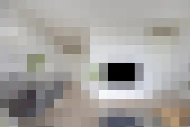 Vijfhagen 131 Breda thumbnail 4