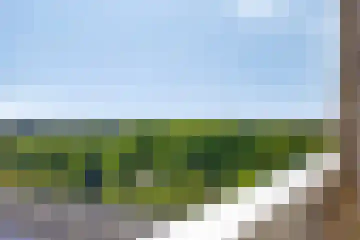 Vijfhagen 131 Breda thumbnail 5