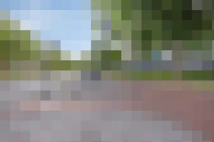 Vijfhagen 131 Breda thumbnail 6