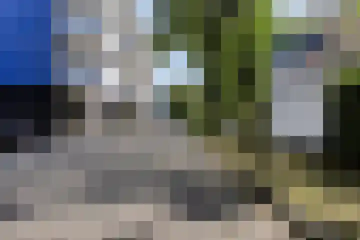 Vijfhagen 131 Breda thumbnail 8