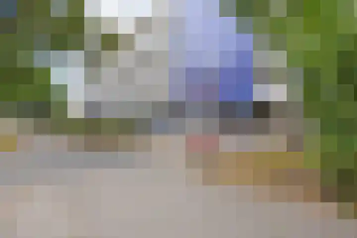 Vijfhagen 131 Breda thumbnail 9