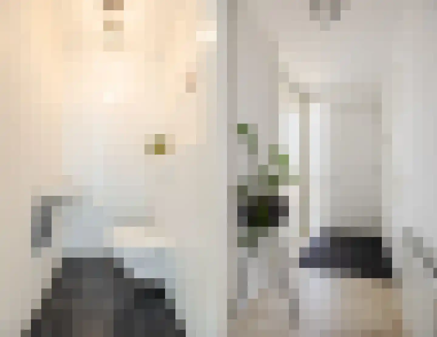 Vijfhagen 147 Breda thumbnail 17