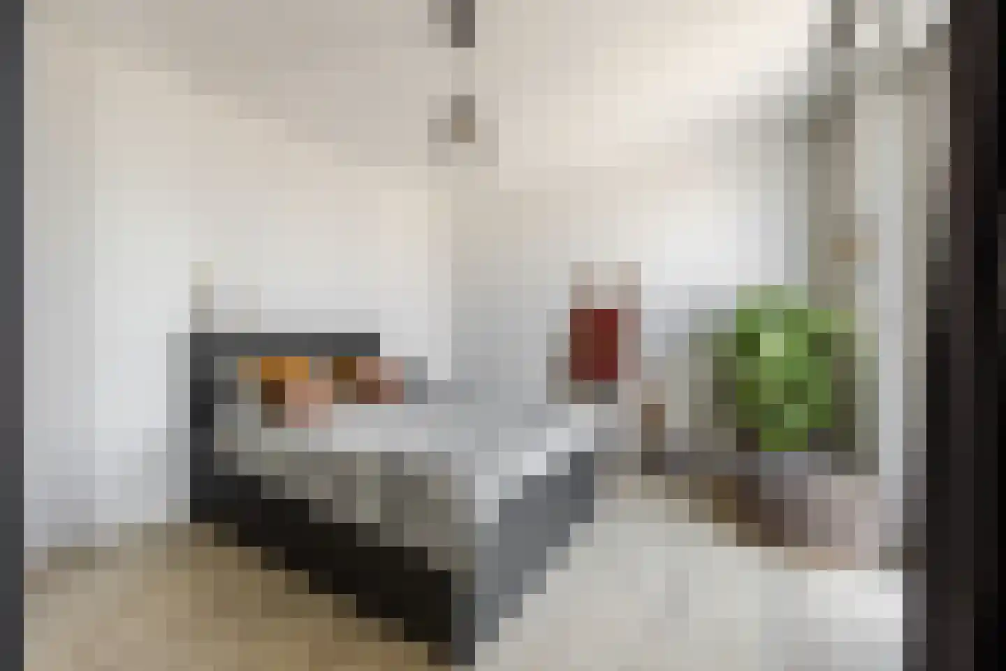 Vijfhagen 147 Breda thumbnail 33