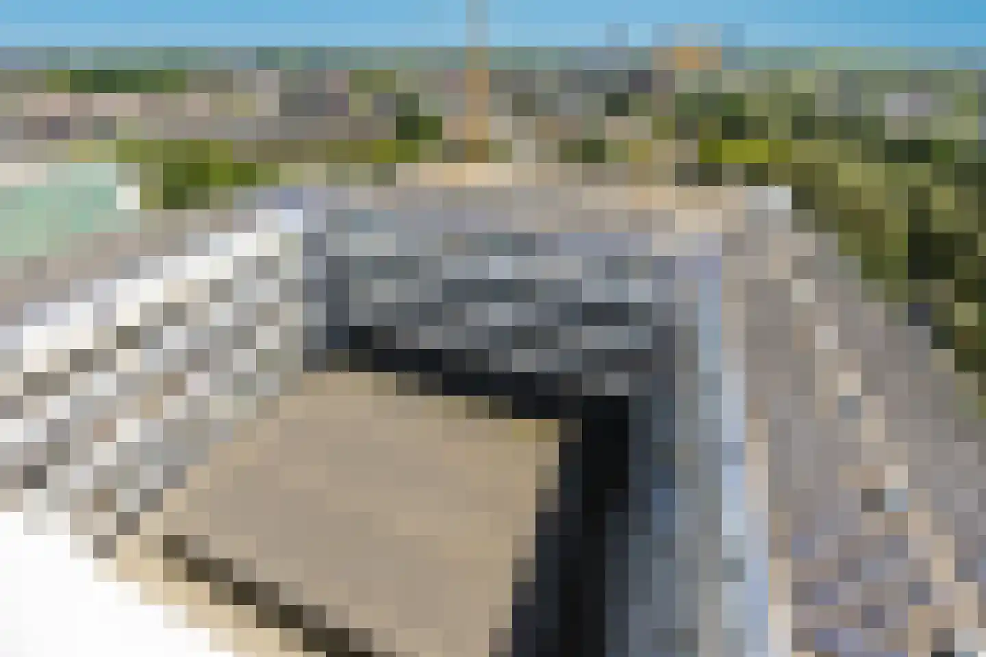 Vijfhagen 147 Breda thumbnail 39