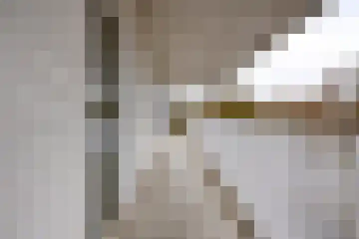 Vijfhagen 16 Breda thumbnail 11