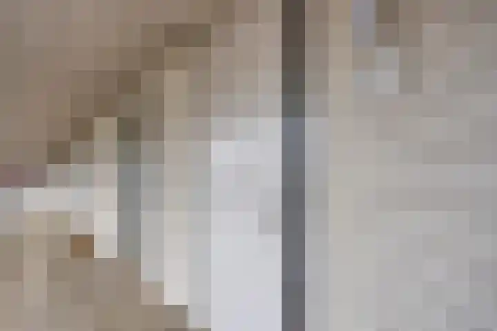 Vijfhagen 16 Breda thumbnail 12