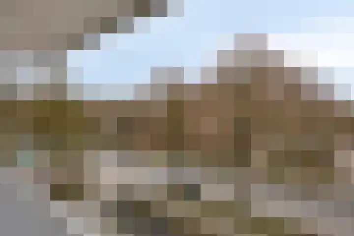 Vijfhagen 16 Breda thumbnail 13