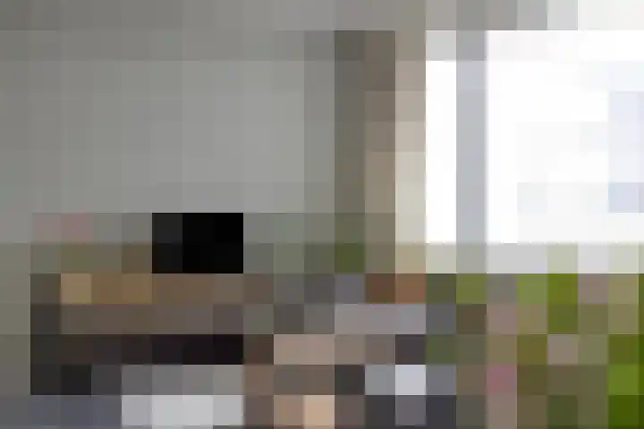 Vijfhagen 16 Breda thumbnail 18