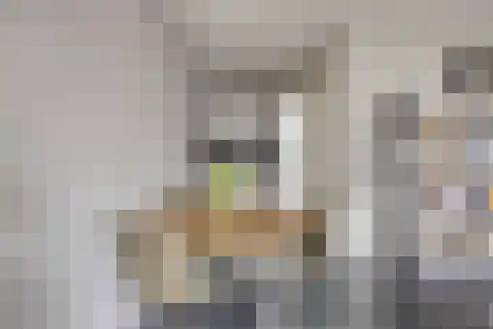 Vijfhagen 16 Breda thumbnail 20