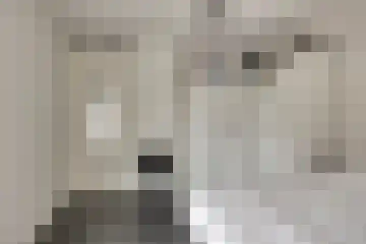 Vijfhagen 16 Breda thumbnail 24