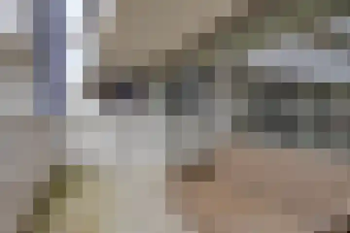 Vijfhagen 16 Breda thumbnail 28