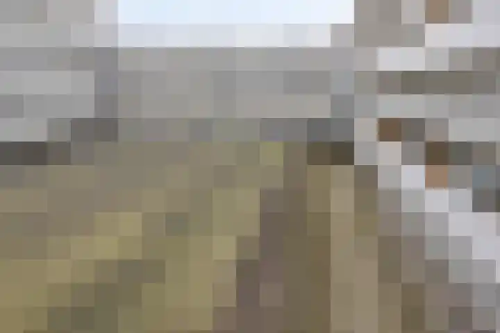Vijfhagen 16 Breda thumbnail 29