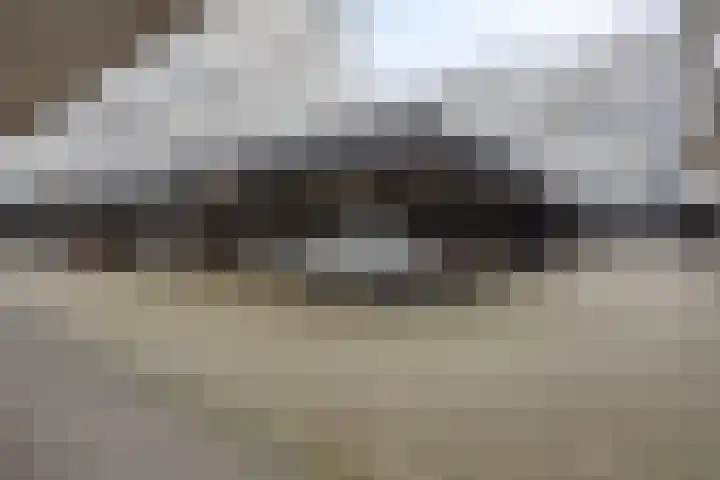 Vijfhagen 16 Breda thumbnail 30