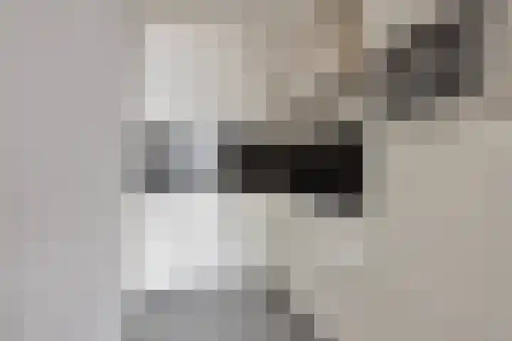 Vijfhagen 16 Breda thumbnail 4