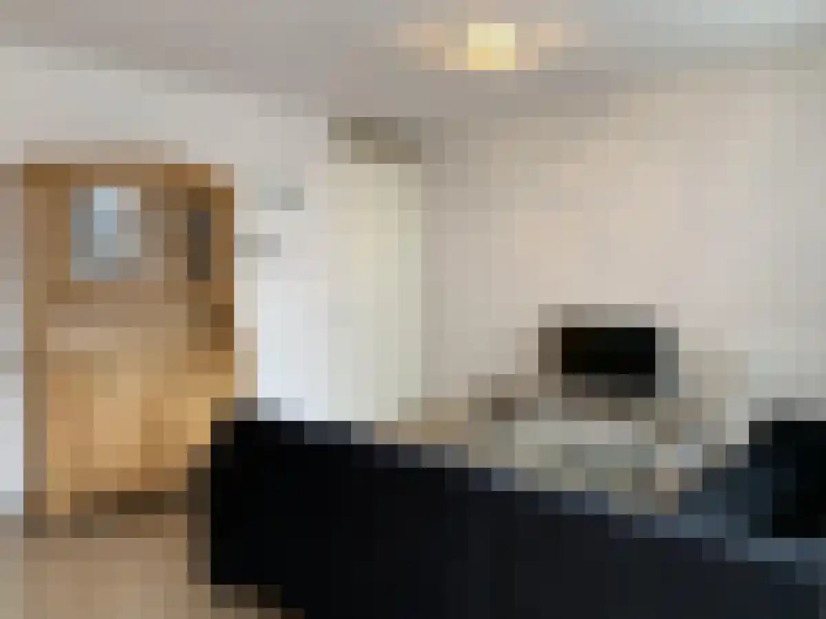 Vijfhagen 168 Breda thumbnail 4