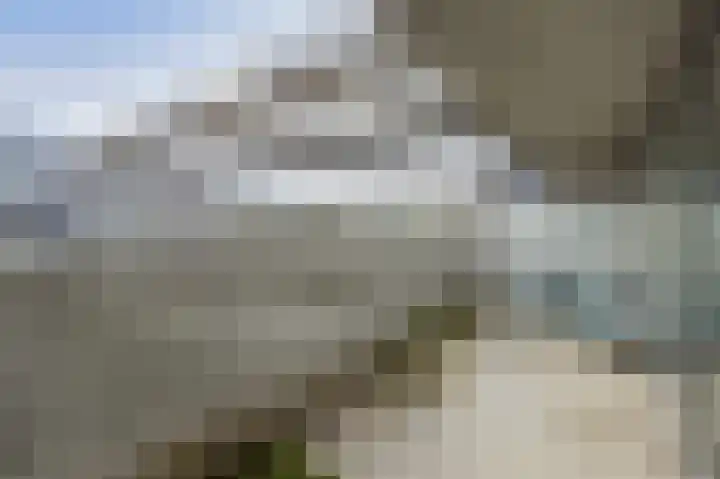 Vijfhagen 17 Breda thumbnail 19