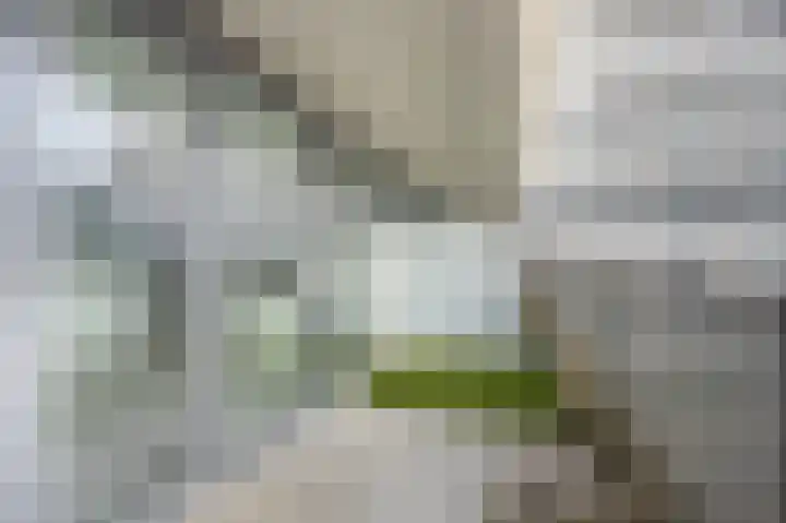 Vijfhagen 17 Breda thumbnail 20
