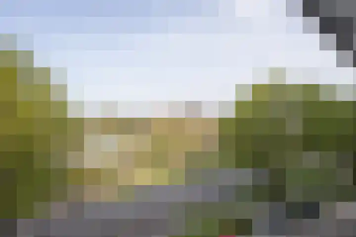 Vijfhagen 17 Breda thumbnail 21