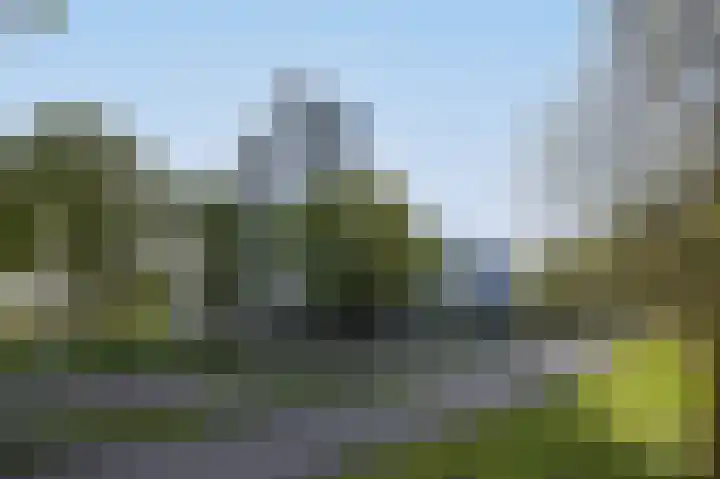 Vijfhagen 17 Breda thumbnail 22