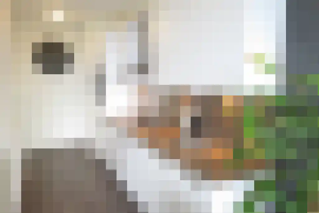 Vijfhagen 17 Breda thumbnail 5