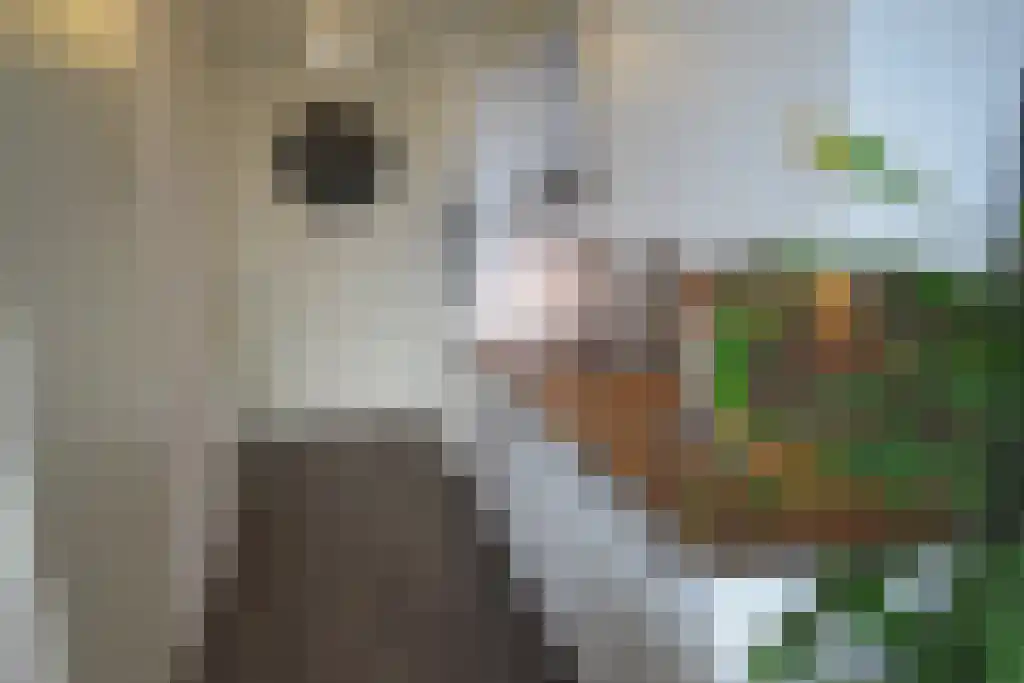 Vijfhagen 17 Breda thumbnail 6