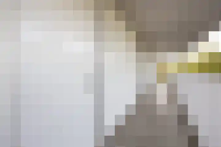 Vijfhagen 17 Breda thumbnail 9