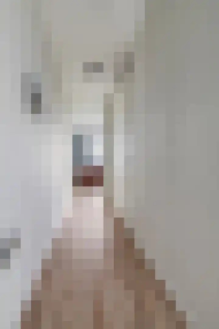 Vijfhagen 177 Breda thumbnail 10