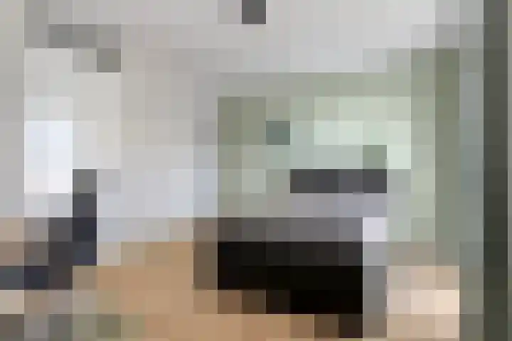 Vijfhagen 177 Breda thumbnail 4