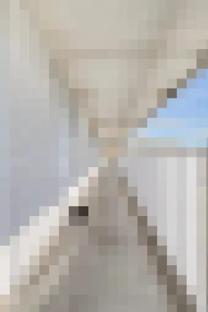 Vijfhagen 177 Breda thumbnail 9