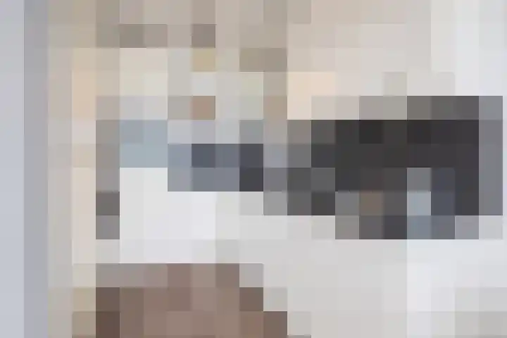 Vijfhagen 183 Breda thumbnail 10