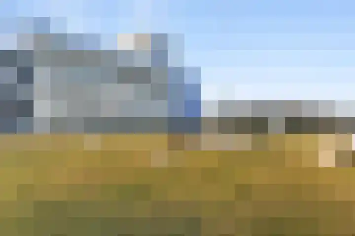 Vijfhagen 183 Breda thumbnail 17