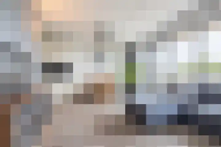 Vijfhagen 183 Breda thumbnail 5