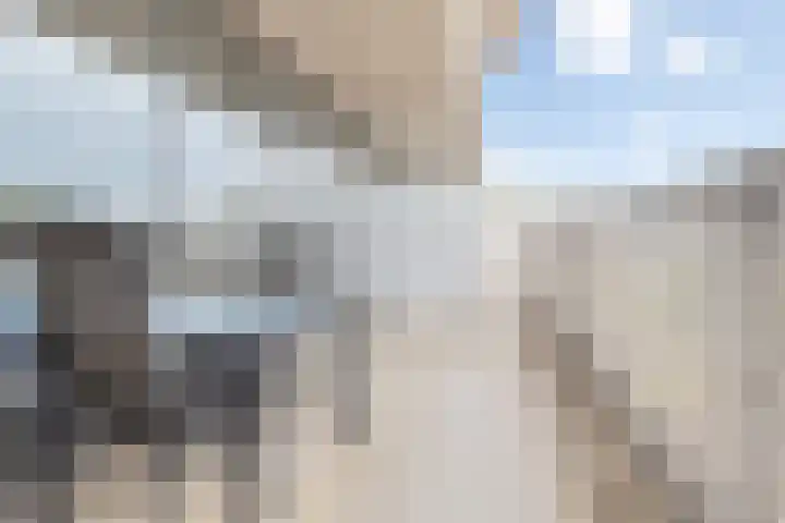 Vijfhagen 183 Breda thumbnail 9