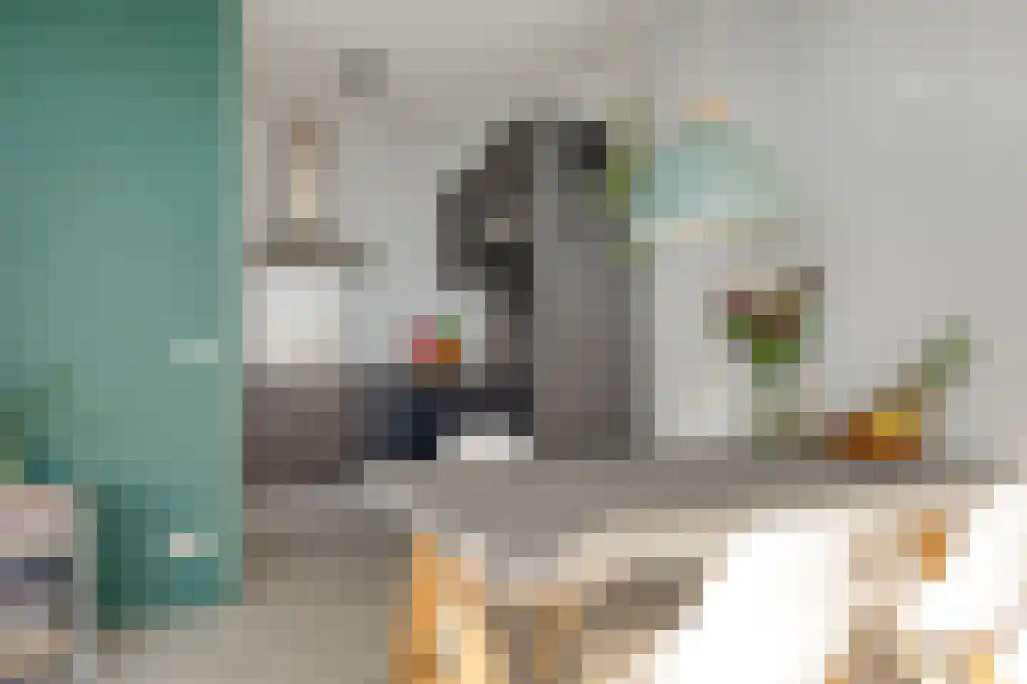 Vijfhagen 198 Breda thumbnail 19