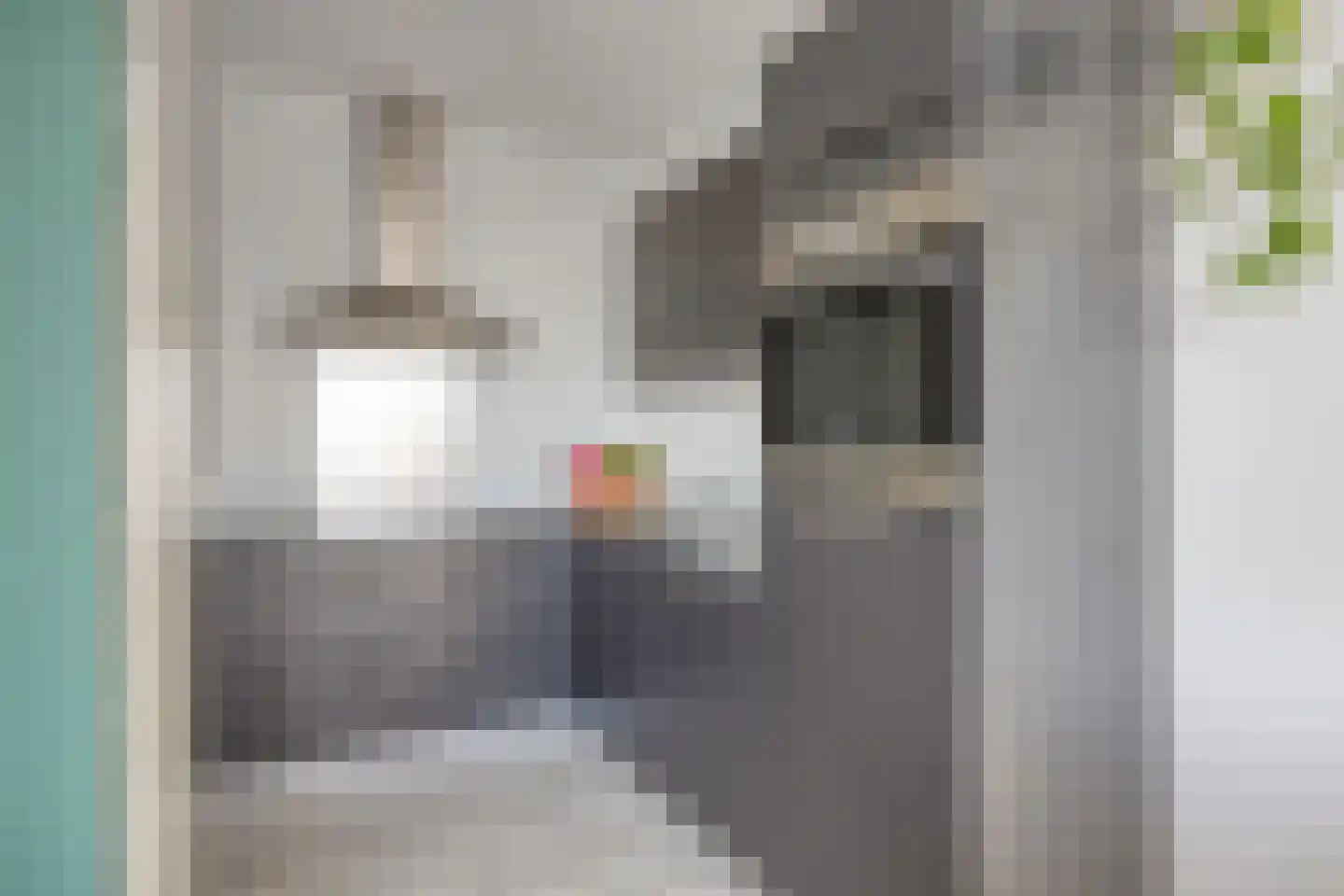 Vijfhagen 198 Breda thumbnail 21