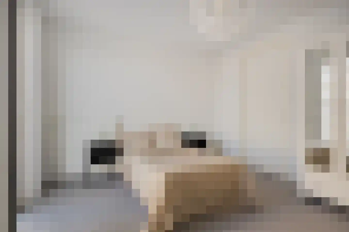 Vijfhagen 198 Breda thumbnail 24
