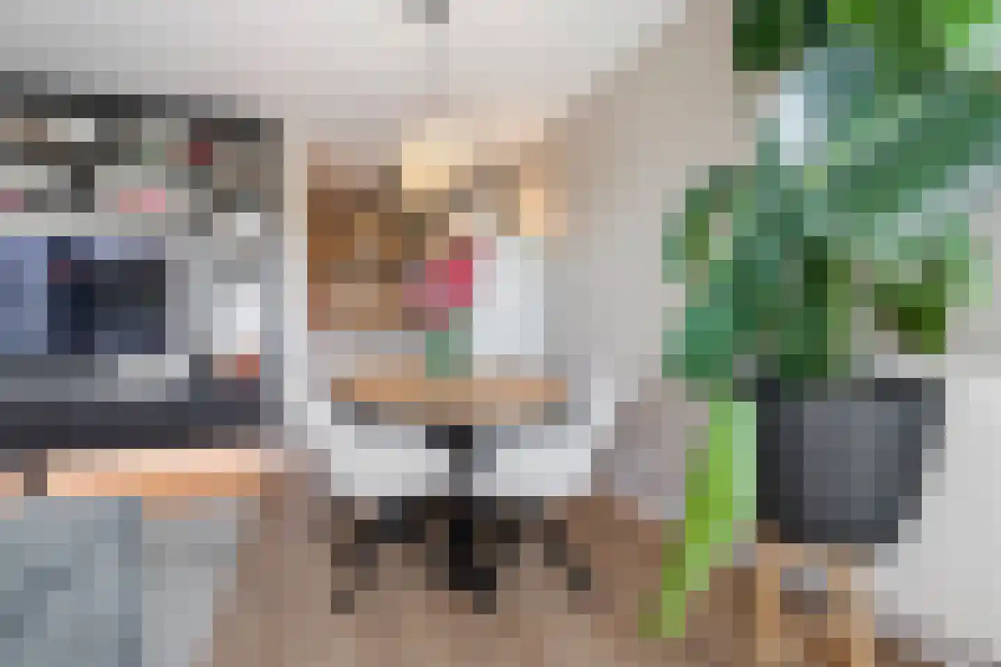 Vijfhagen 24 Breda thumbnail 13