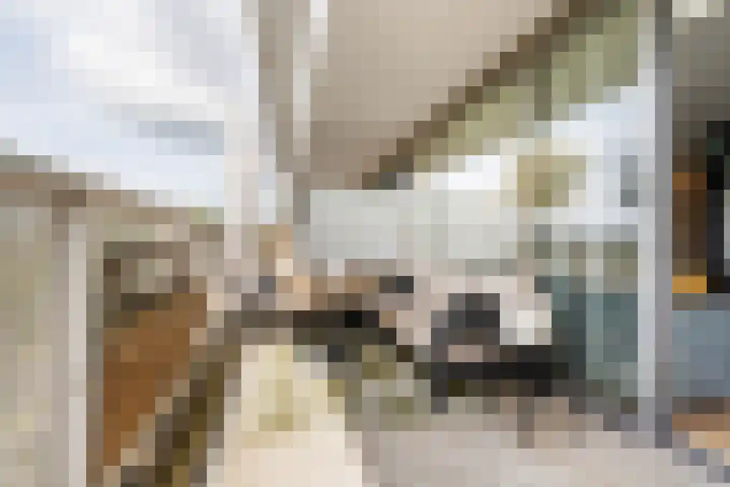 Vijfhagen 24 Breda thumbnail 14
