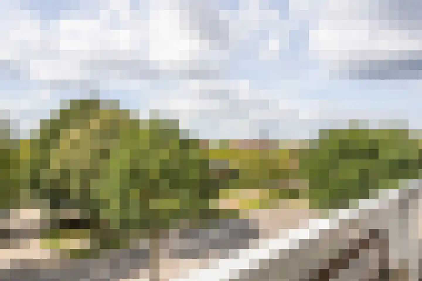 Vijfhagen 24 Breda thumbnail 15