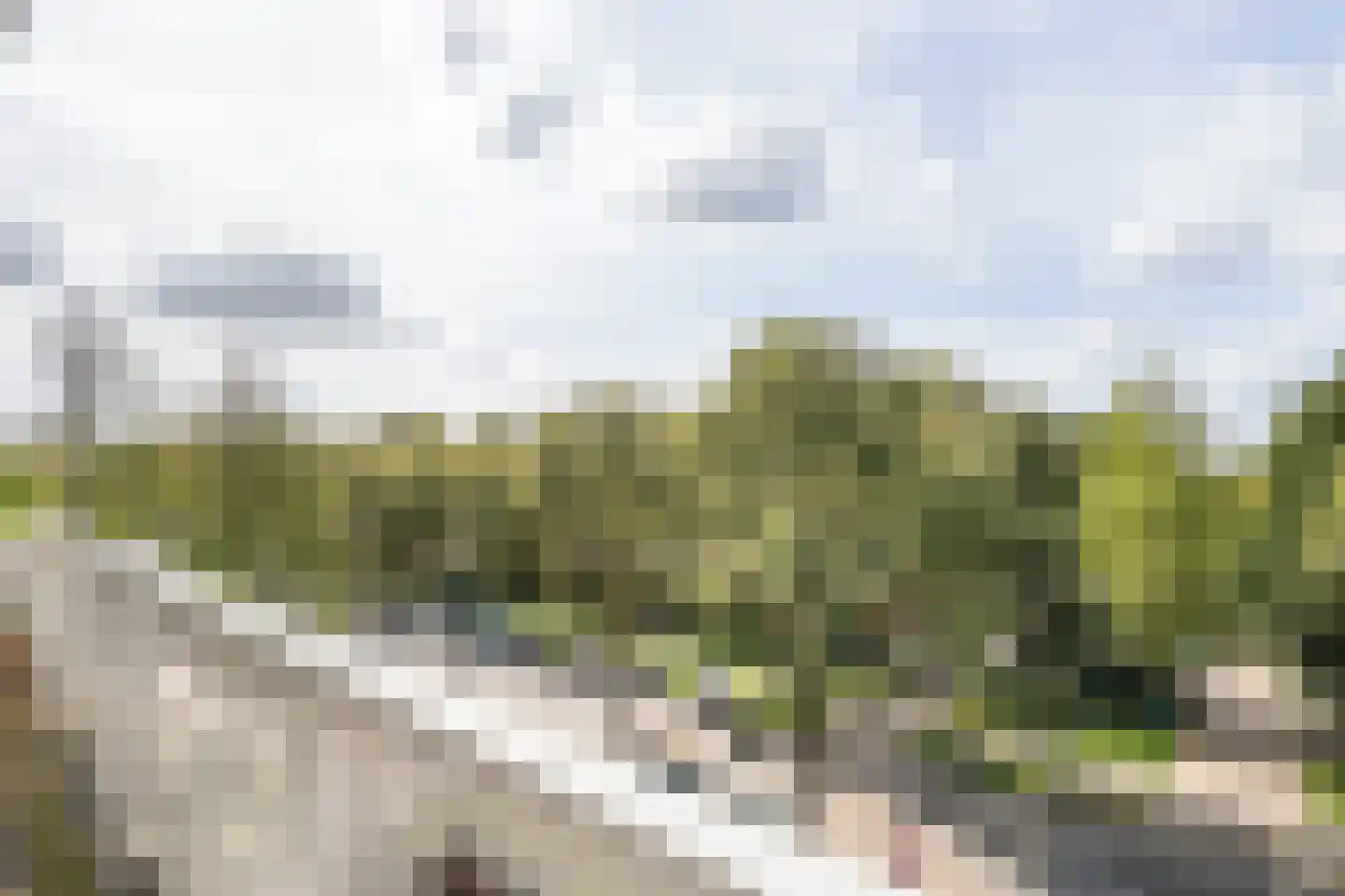 Vijfhagen 24 Breda thumbnail 18